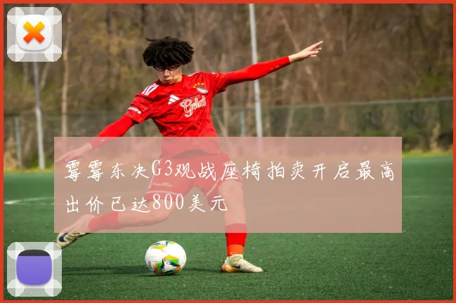 霉霉东决G3观战座椅拍卖开启最高出价已达800美元