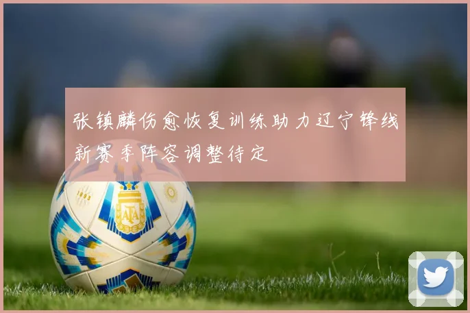 张镇麟伤愈恢复训练助力辽宁锋线新赛季阵容调整待定